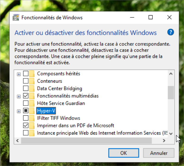 Activation d'Hyper-V dans la liste