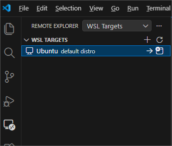 Onglet Remote Explorer dans VS Code